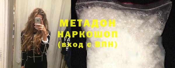 индика Алексин
