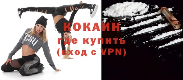 индика Алексин
