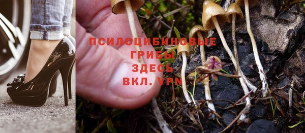 молекула духа Алзамай