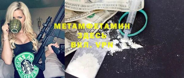 индика Алексин