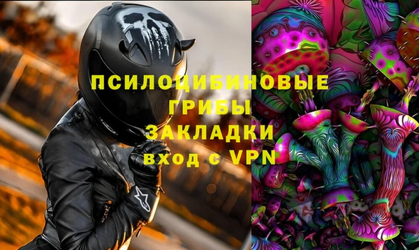 молекула духа Алзамай