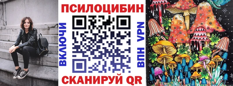 Псилоцибиновые грибы прущие грибы  где купить наркотик  Всеволожск 