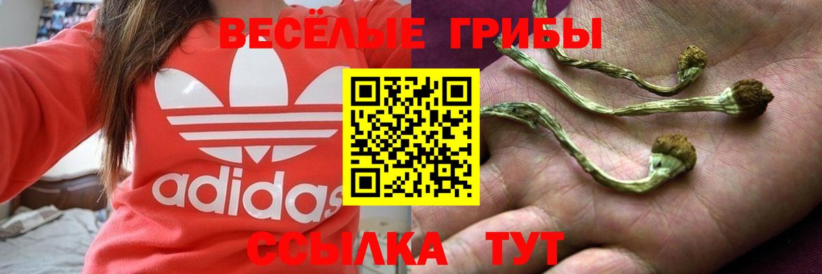 Псилоцибиновые грибы мицелий  купить наркоту  Всеволожск  Вход с VPN 